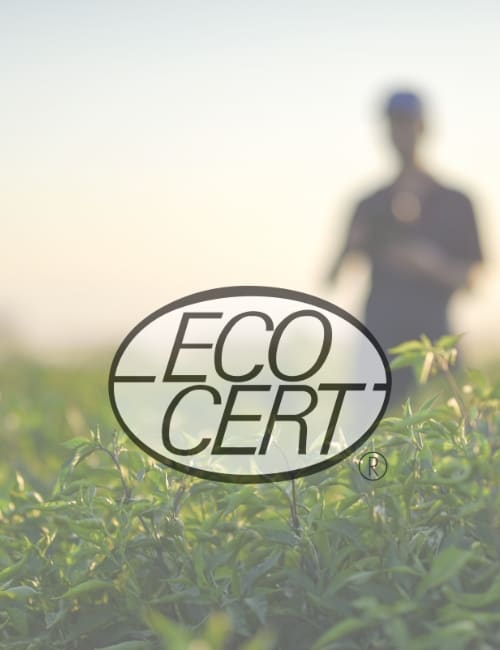 What Is Ecocert Certification & Is It Reliable? Image by baranozdemir #ecocert #ecocertorganic #ecocertcertification #whatisecocertcertification #whatdoesecocertmean #isecocertreliable #sustainablejungle