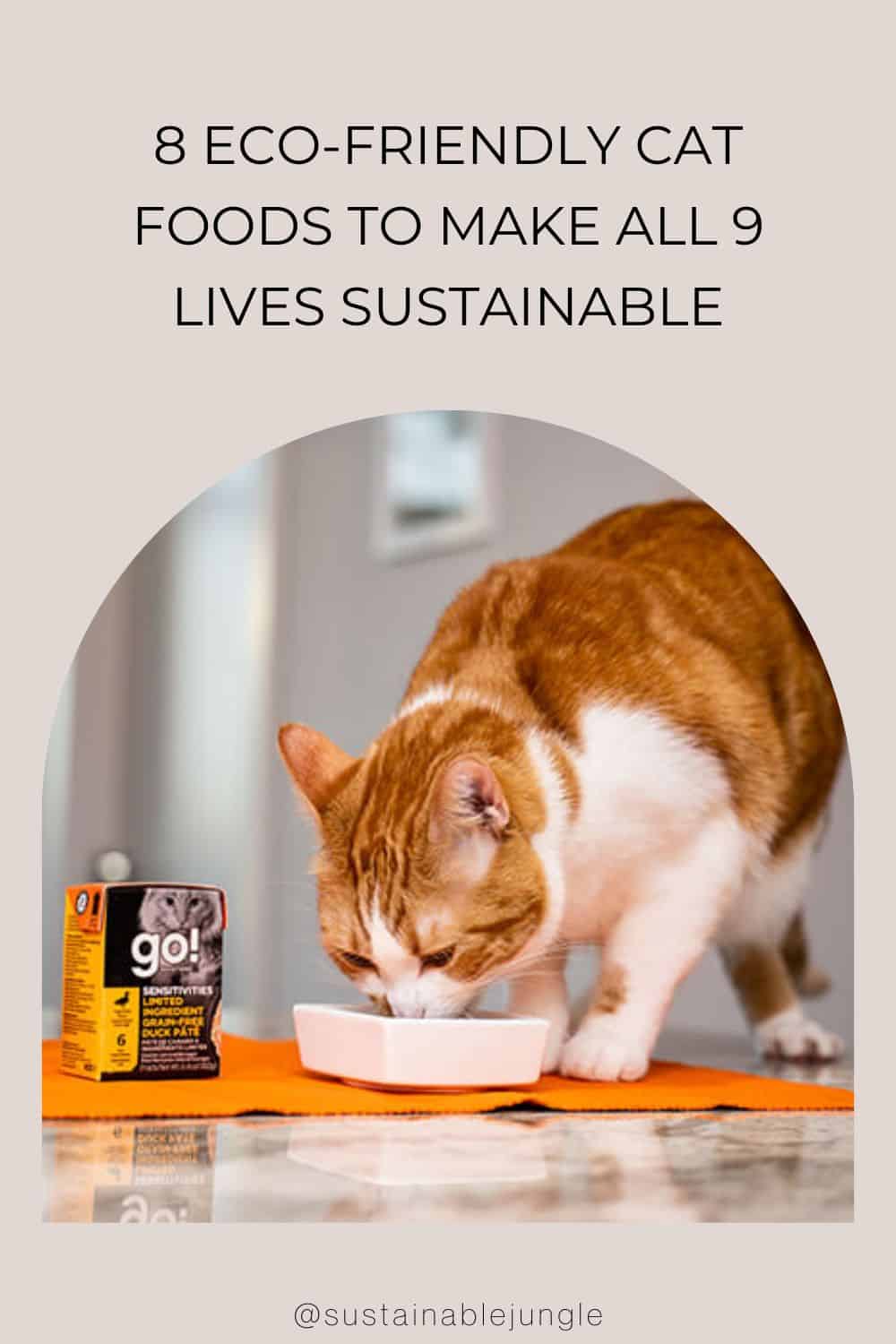 8 Eco-Friendly Cat Foods To Make All 9 Lives Sustainable Image by Petcurean #ecofriendlycatfood #ecofriendlywetcatfood #sustainablecatfood #sustainableseafoodcatfood #ecofriendlycatfoodpackaging #humanesustainablecatfood #sustainablejungle