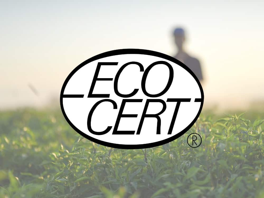 What Is Ecocert Certification & Is It Reliable? Image by baranozdemir #ecocert #ecocertorganic #ecocertcertification #whatisecocertcertification #whatdoesecocertmean #isecocertreliable #sustainablejungle