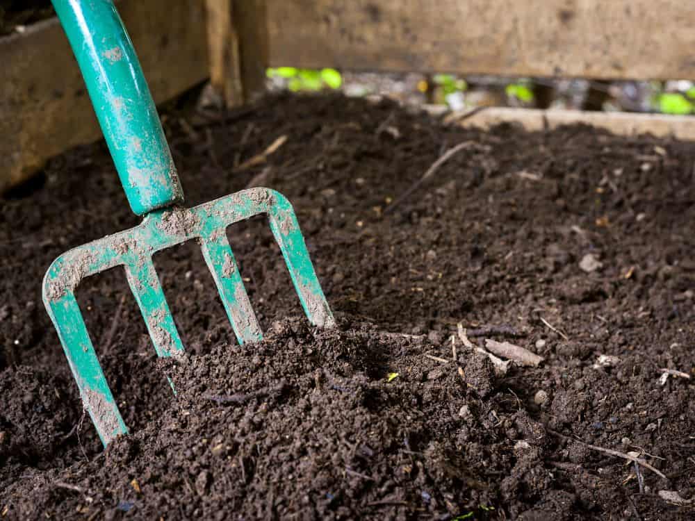 Can you compost paper towels? ⋆ Fork in the Road