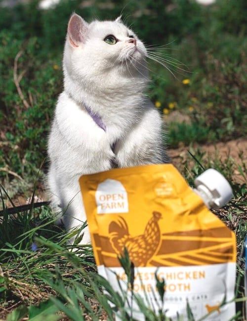 8 Eco-Friendly Cat Foods To Make All 9 Lives SustainableImage by Open farm#ecofriendlycatfood #ecofriendlywetcatfood #sustainablecatfood #sustainableseafoodcatfood #ecofriendlycatfoodpackaging #humanesustainablecatfood #sustainablejungle