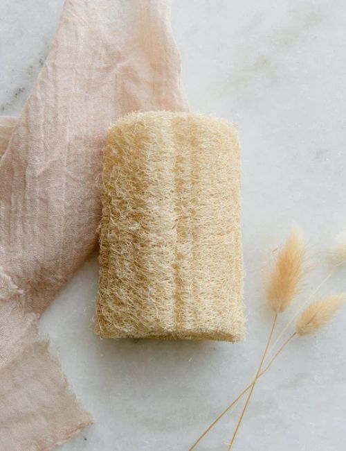 7 Eco-Friendly Loofah Alternatives For A Sustainable Scrub Image by Smile Boutiques #loofahalternatives #alternativestoloofah #plasticloofahalternatives #ecofriendlyloofahs #ecofriendlyloofahalternatives #ecofriendlybodyscrubber #sustainablejungle