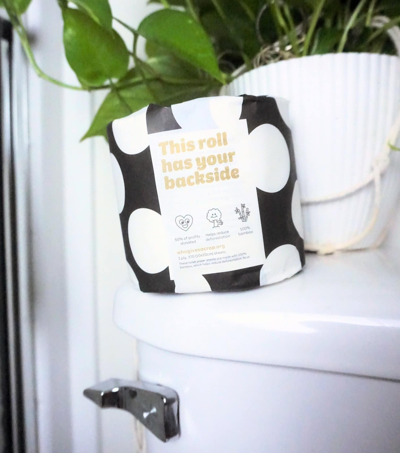 Image by Sustainable Jungle (Who Gives A Crap) (eco-friendly-bathroom-products)