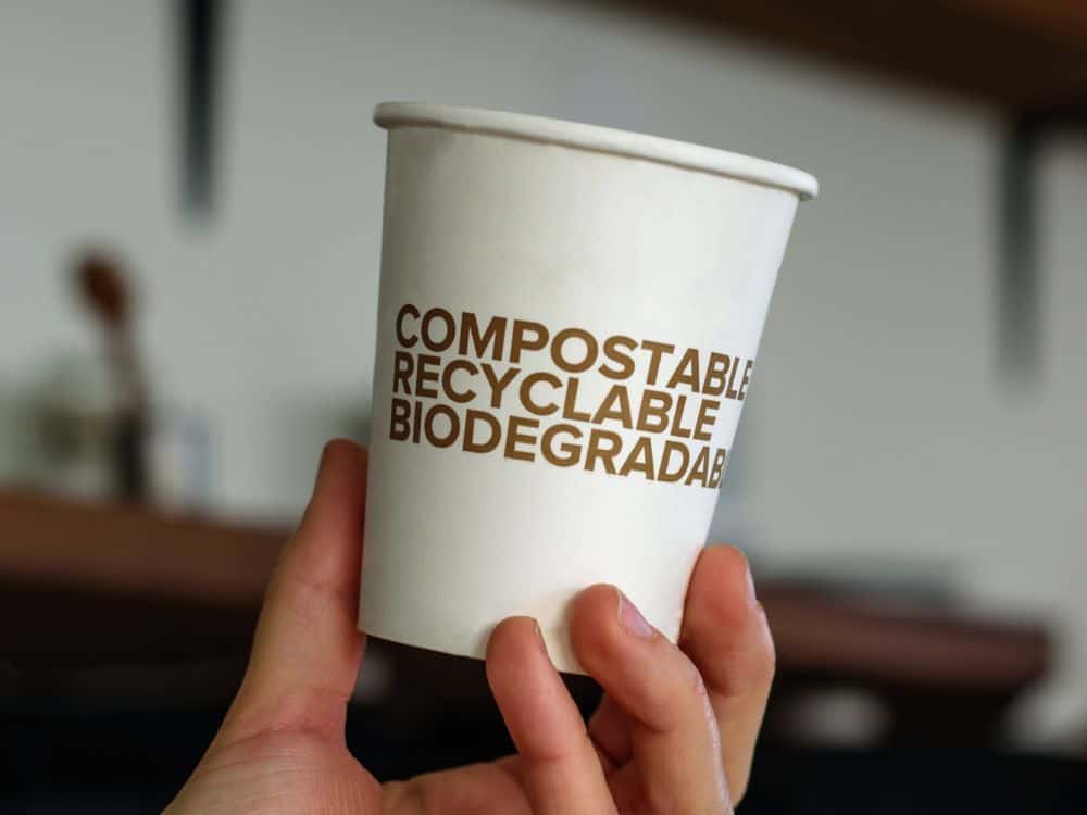 Biodegradable Vs Compostable: A Breakdown Of Breaking Down Waste Image by Tatyana Aksenova via Canva Pro #biodegradablevscompostable #compostablevsbiodegradable #doescompostablemeanbiodegradable #compostableplastic #biodegradableplastic #biodegradableandcompostable #sustainablejungle