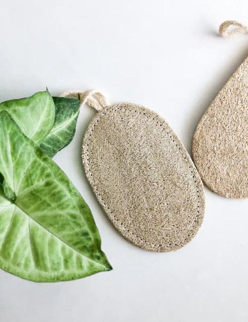 7 Eco-Friendly Loofah Alternatives For A Sustainable Scrub Image by Smile Boutiques #loofahalternatives #alternativestoloofah #plasticloofahalternatives #ecofriendlyloofahs #ecofriendlyloofahalternatives #ecofriendlybodyscrubber #sustainablejungle