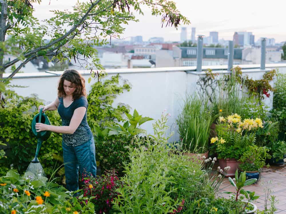 Apartment Gardening: A Beginners Guide For A Plant Paradise Image by fotografixx #apartmentgardening #apartmentgarden #apartmentgardeningideas #howtogardeninanapartment #sustainablejungle