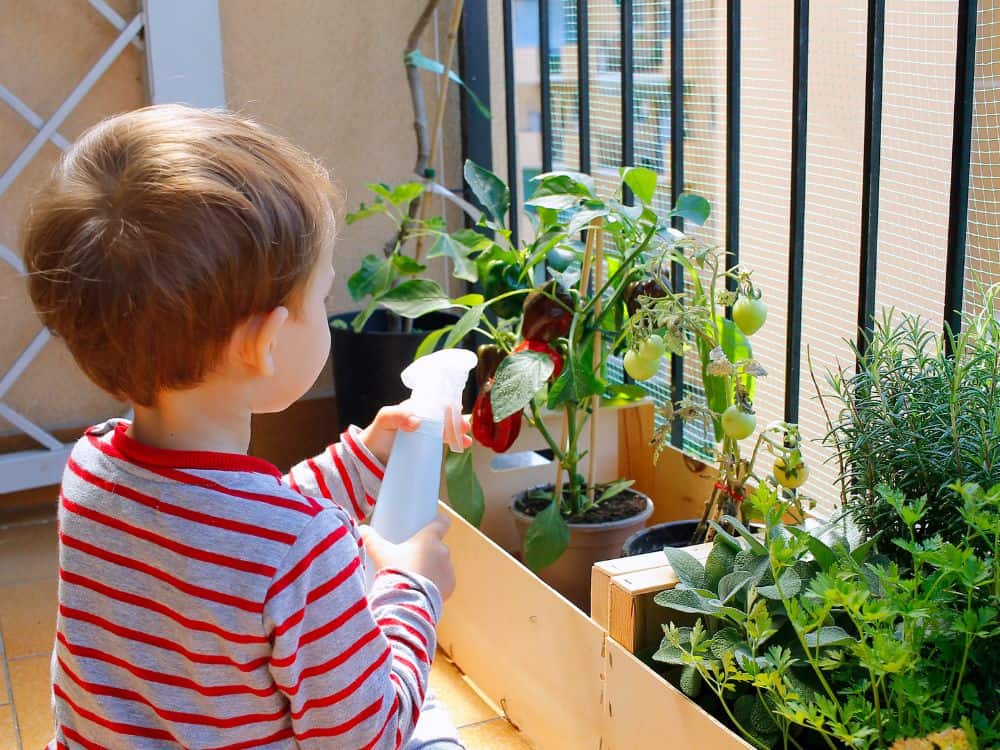 Apartment Gardening: A Beginners Guide For A Plant Paradise Image by ginew #apartmentgardening #apartmentgarden #apartmentgardeningideas #howtogardeninanapartment #sustainablejungle