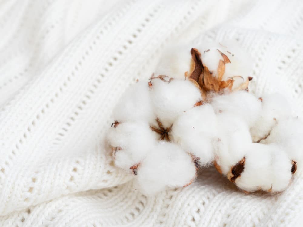 Is Organic Cotton The Most Eco-Friendly Choice?