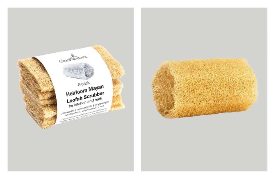 7 Eco-Friendly Loofah Alternatives For A Sustainable Scrub Images by Brush with Bamboo #loofahalternatives #alternativestoloofah #plasticloofahalternatives #ecofriendlyloofahs #ecofriendlyloofahalternatives #ecofriendlybodyscrubber #sustainablejungle