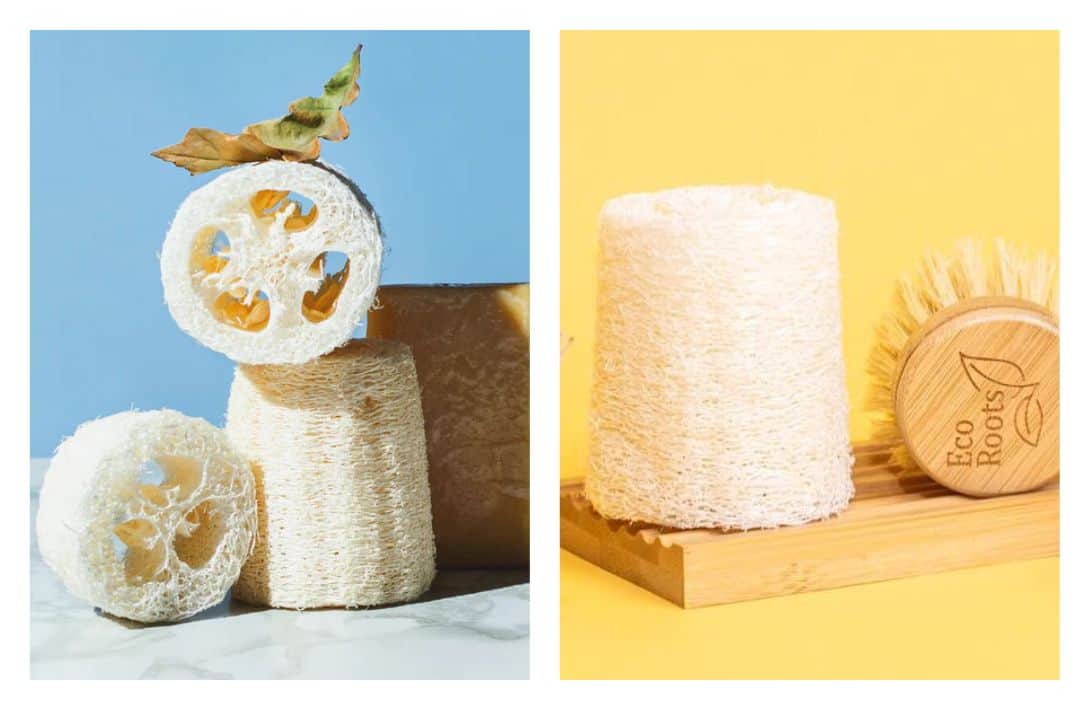 7 Eco-Friendly Loofah Alternatives For A Sustainable Scrub Images by EcoRoots #loofahalternatives #alternativestoloofah #plasticloofahalternatives #ecofriendlyloofahs #ecofriendlyloofahalternatives #ecofriendlybodyscrubber #sustainablejungle
