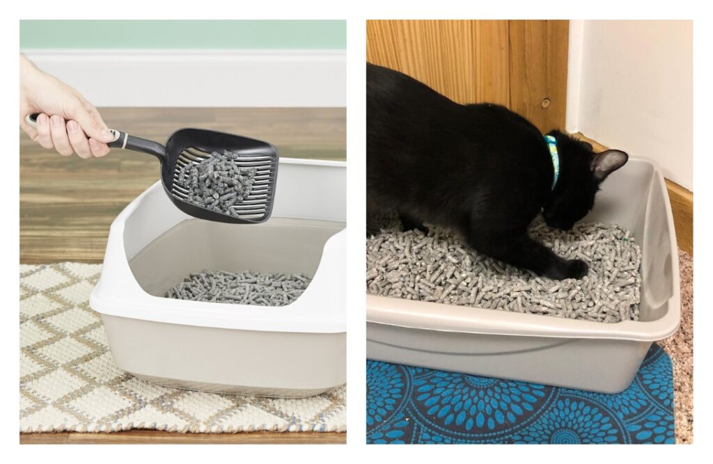 The 9 Best Eco-Friendly Cat Litter Brands that are Paw-sitively Purr-fectImages by Fresh News#eco-friendlycatlitter #besteco-friendlycatlitter #mosteco-friendlycatlitter #biodegradablecatlitter #environmentallyfriendlycatlitter #sustainablecatlitter