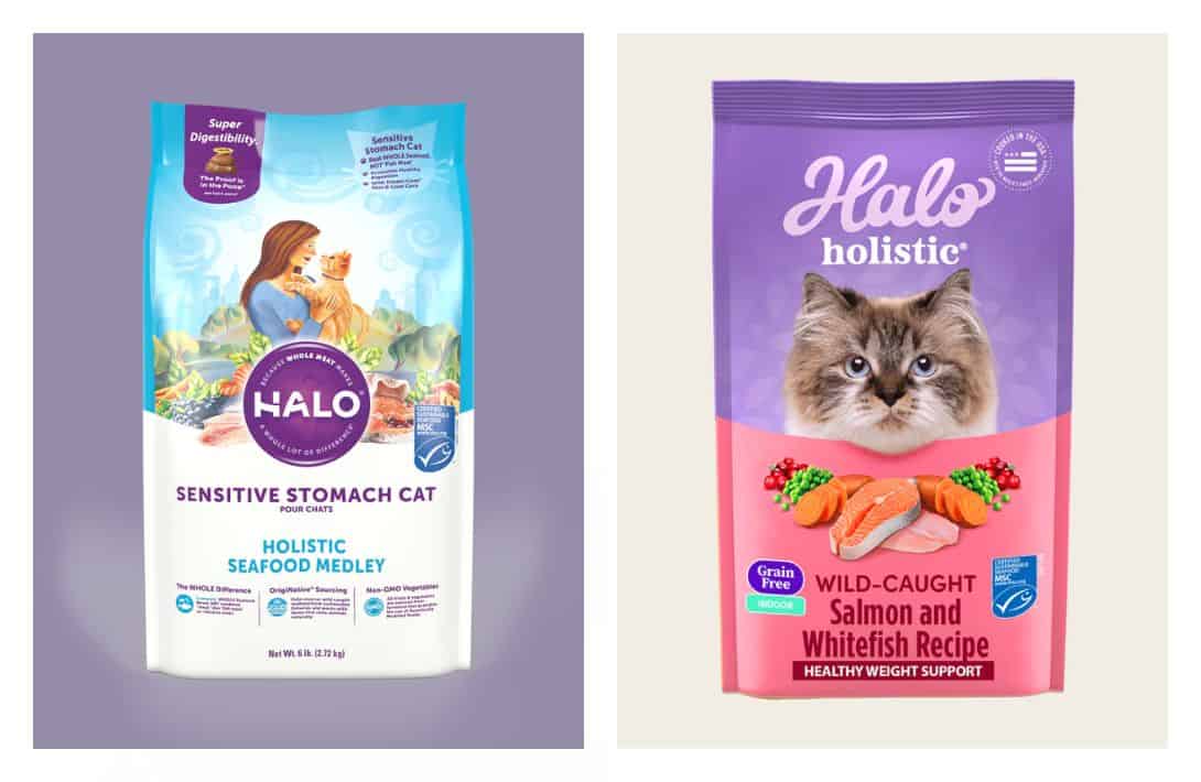 8 Eco-Friendly Cat Foods To Make All 9 Lives Sustainable Images by Halo #ecofriendlycatfood #ecofriendlywetcatfood #sustainablecatfood #sustainableseafoodcatfood #ecofriendlycatfoodpackaging #humanesustainablecatfood #sustainablejungle