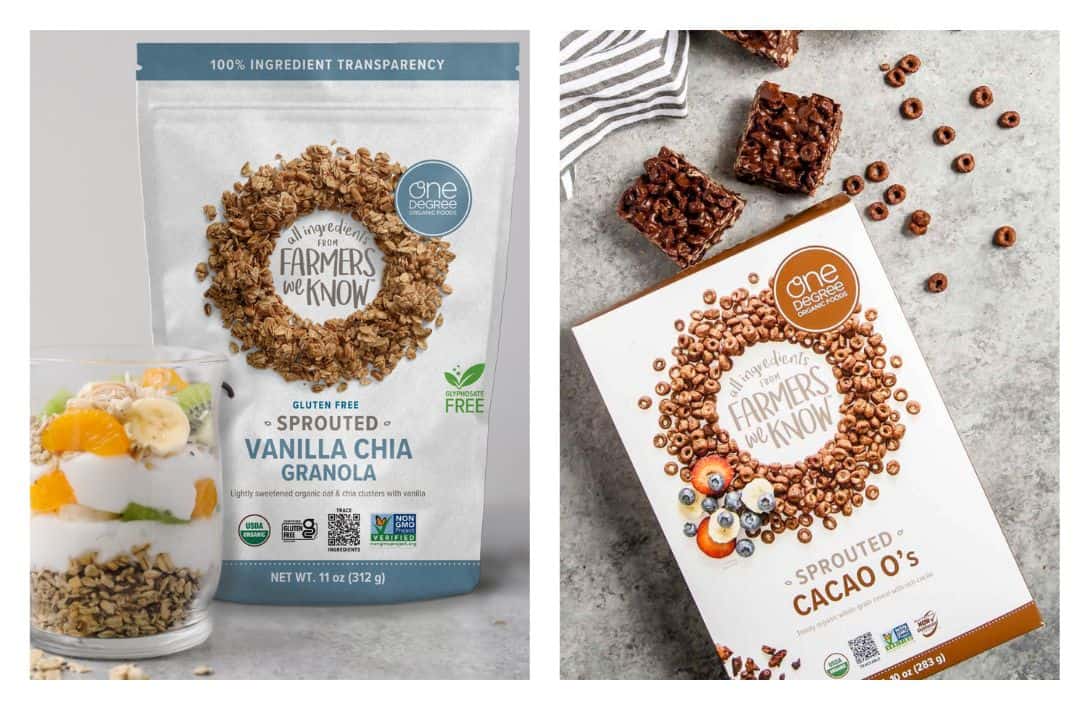 9 Sustainable Snacks Suitable For Eco-Friendly Food Fanatics Images by One Degree Organic Foods #sustainablesnacks #sustainablesnackbrands #snackswithsustainablepackaging #ecofriendlysnacks #ecofriendlypackagedsnacks #sustainablejungle