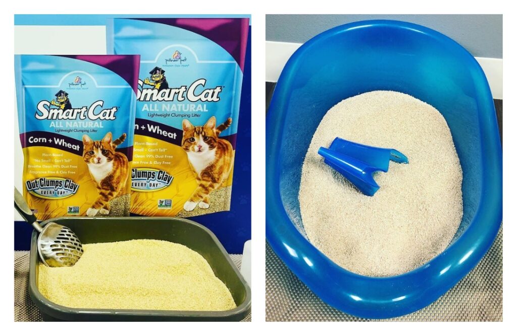 The 9 Best Eco-Friendly Cat Litter Brands that are Paw-sitively Purr-fectImages by Pioneer Pet Smartcat#eco-friendlycatlitter #besteco-friendlycatlitter #mosteco-friendlycatlitter #biodegradablecatlitter #environmentallyfriendlycatlitter #sustainablecatlitter