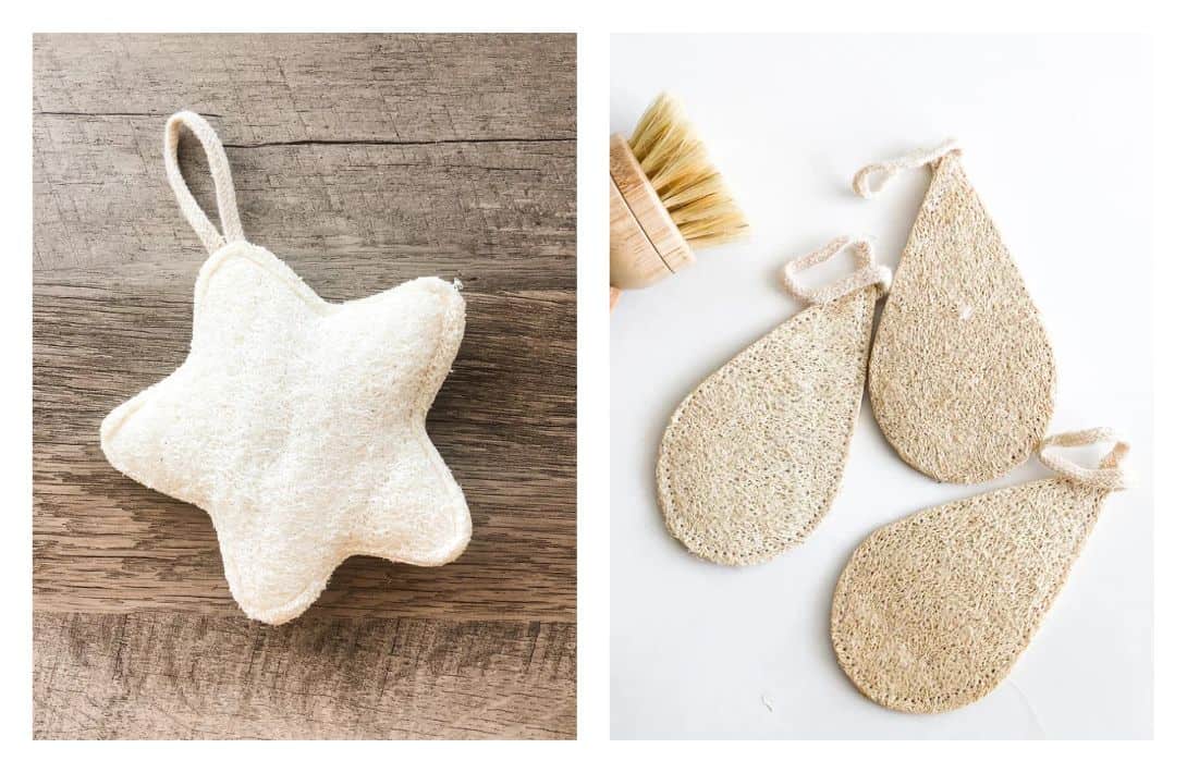 7 Eco-Friendly Loofah Alternatives For A Sustainable Scrub Images by Smile Boutiques #loofahalternatives #alternativestoloofah #plasticloofahalternatives #ecofriendlyloofahs #ecofriendlyloofahalternatives #ecofriendlybodyscrubber #sustainablejungle