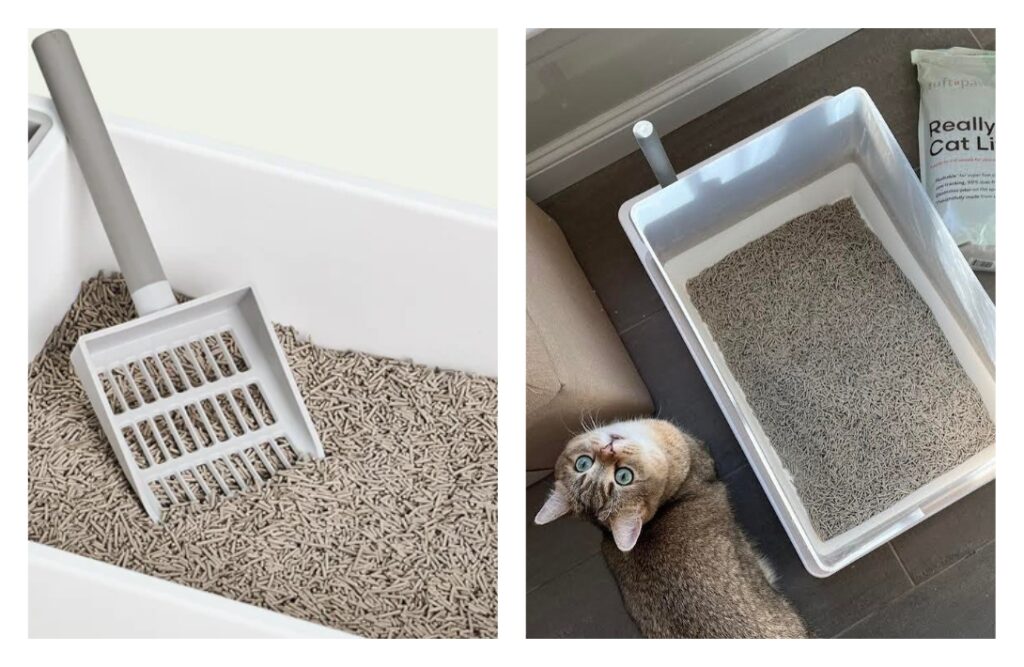 The 9 Best Eco-Friendly Cat Litter Brands that are Paw-sitively Purr-fectImages by Tuft + Paw#eco-friendlycatlitter #besteco-friendlycatlitter #mosteco-friendlycatlitter #biodegradablecatlitter #environmentallyfriendlycatlitter #sustainablecatlitter