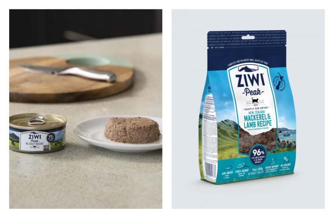 8 Eco-Friendly Cat Foods To Make All 9 Lives Sustainable Images by ZIWI #ecofriendlycatfood #ecofriendlywetcatfood #sustainablecatfood #sustainableseafoodcatfood #ecofriendlycatfoodpackaging #humanesustainablecatfood #sustainablejungle