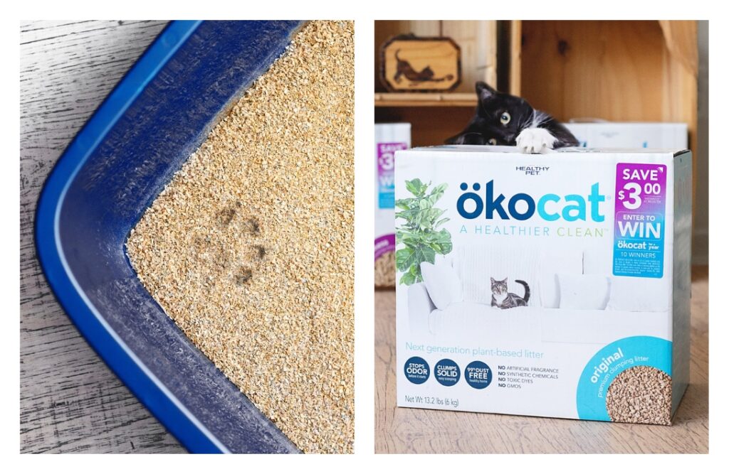 The 9 Best Eco-Friendly Cat Litter Brands that are Paw-sitively Purr-fectImages by ökocat#eco-friendlycatlitter #besteco-friendlycatlitter #mosteco-friendlycatlitter #biodegradablecatlitter #environmentallyfriendlycatlitter #sustainablecatlitter