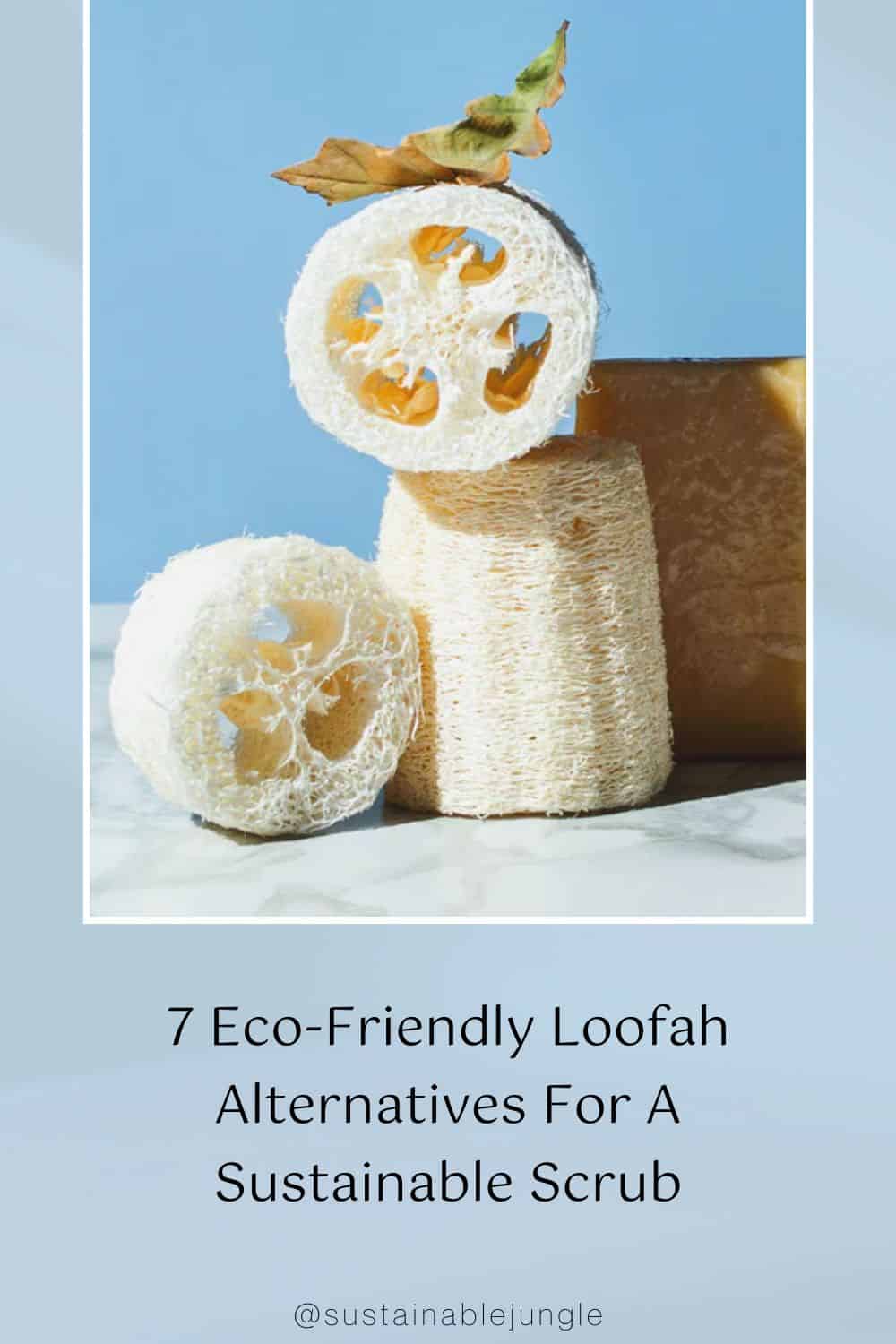 7 Eco-Friendly Loofah Alternatives For A Sustainable Scrub Image by EcoRoots #loofahalternatives #alternativestoloofah #plasticloofahalternatives #ecofriendlyloofahs #ecofriendlyloofahalternatives #ecofriendlybodyscrubber #sustainablejungle