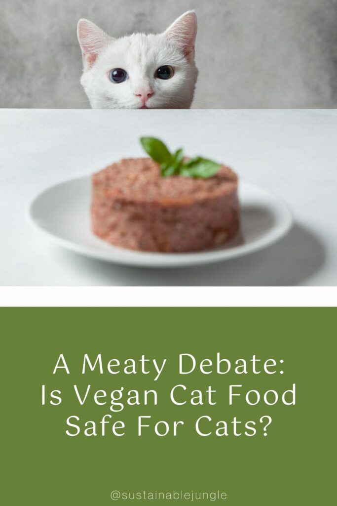 A Meaty Debate: Is Vegan Cat Food Safe For Cats? Image by natashamam #vegancatfood #vegancatfoodstudy #isvegancatfoodsafeforcats #isveganfoodhealthyforcats #vegancatdiet #vegetariancatfood #vegetarianfoodforcats #sustainablejungle