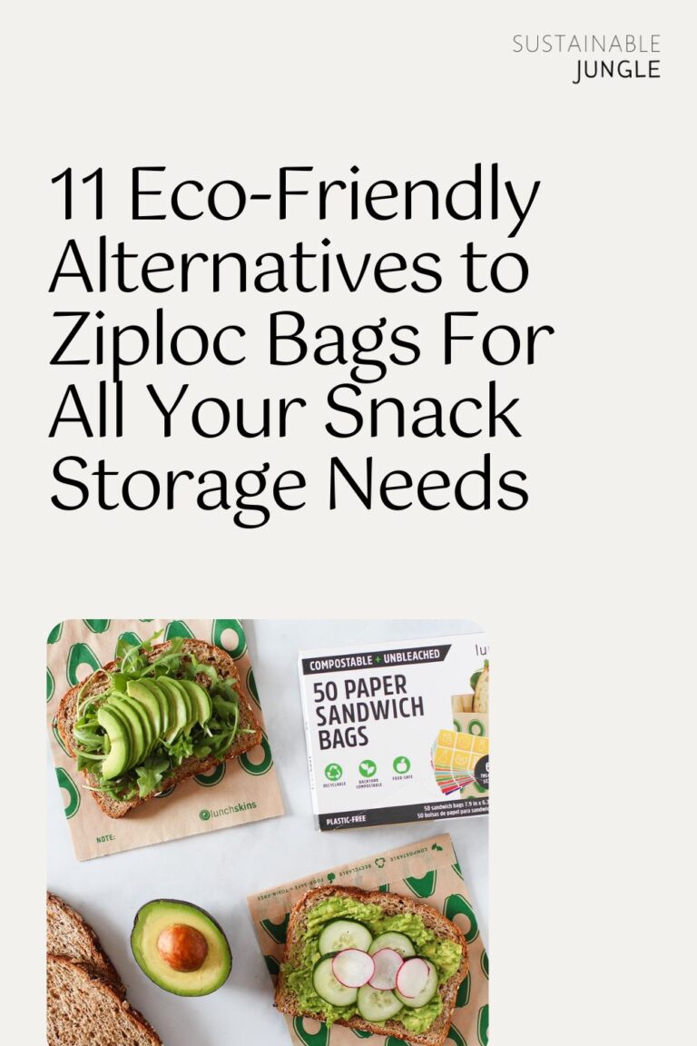 11 EcoFriendly Alternatives to Ziploc Bags For All Your Snack Storage Needs