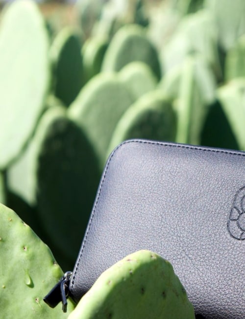 Cactus Leather: A Sustainable Vegan Solution Or a Prickly Subject? Image by Desserto #cactusleather #dessertocactusleather #vegancactusleather #cactusleatherbags #leatherfromcactus #howtomakecactusleather #sustainablejungle