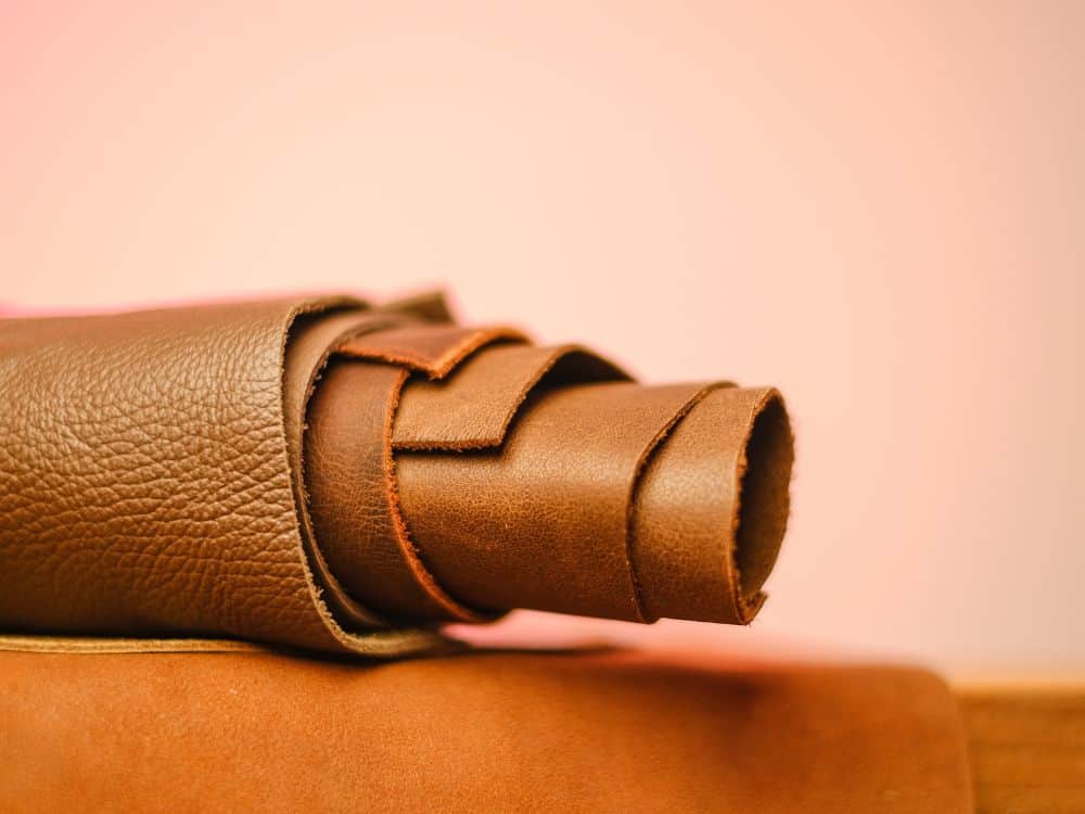 Cactus Leather: A Sustainable Vegan Solution Or A Prickly Subject?