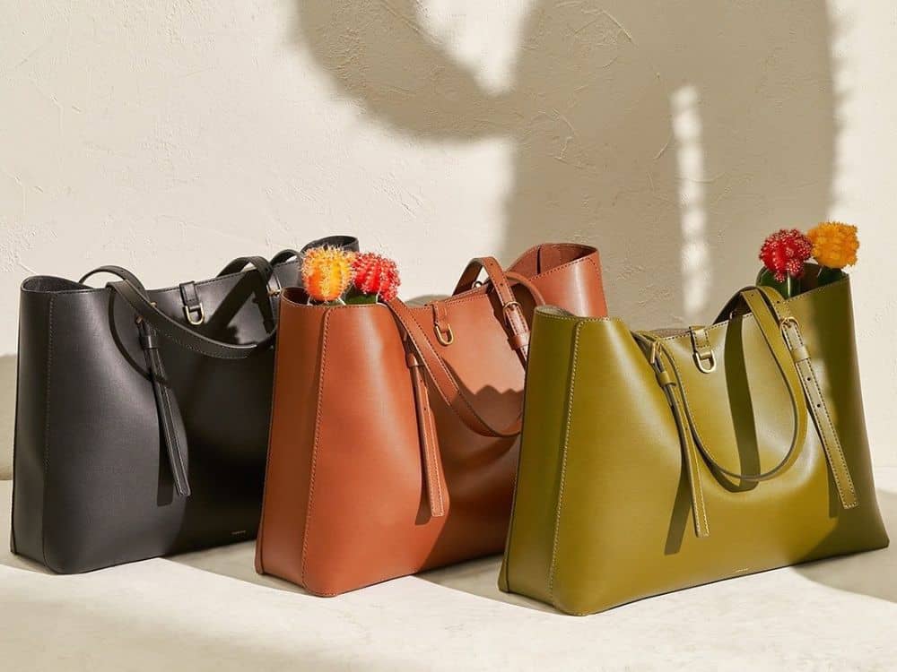 Cactus Subject? A Solution Prickly A Or Sustainable Vegan Leather: