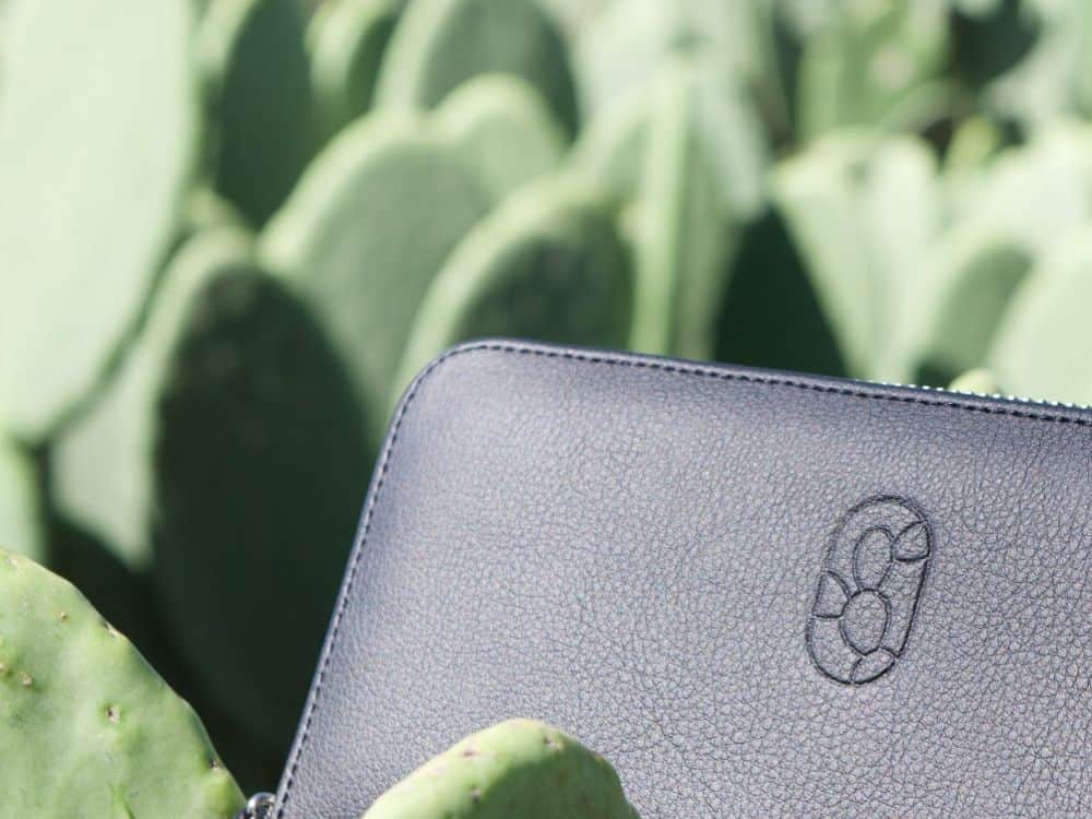 Cactus Leather: A Sustainable Vegan Solution Or a Prickly Subject? Image by Desserto #cactusleather #dessertocactusleather #vegancactusleather #cactusleatherbags #leatherfromcactus #howtomakecactusleather #sustainablejungle