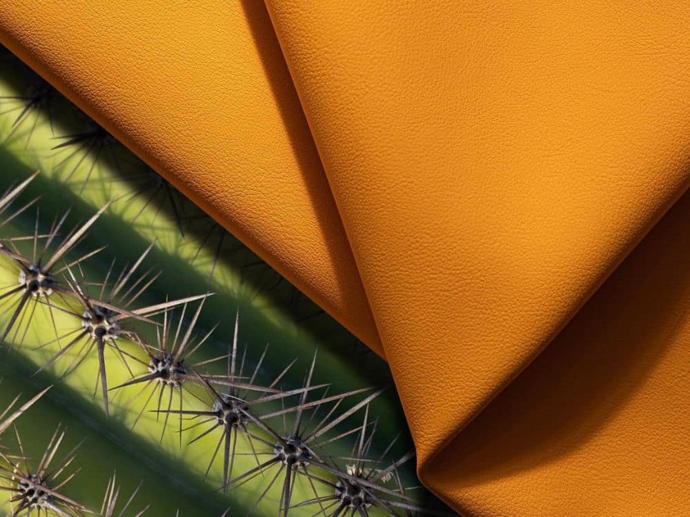 Cactus Leather: A Sustainable Vegan Solution Or a Prickly Subject? Image by Desserto #cactusleather #dessertocactusleather #vegancactusleather #cactusleatherbags #leatherfromcactus #howtomakecactusleather #sustainablejungle