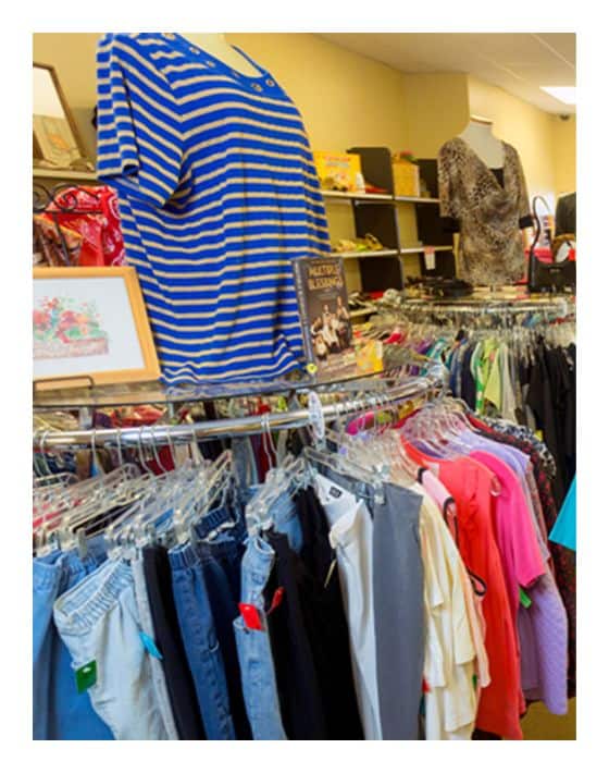 11 Tucson Thrift Stores To Find Everything From A-Z Image by Teal Saguaro #thriftstorestucson #tucsonthriftstores #bestthriftstoresintucson #tucsonAZthriftstores #thriftstorestucsonarizona #sustainablejungle