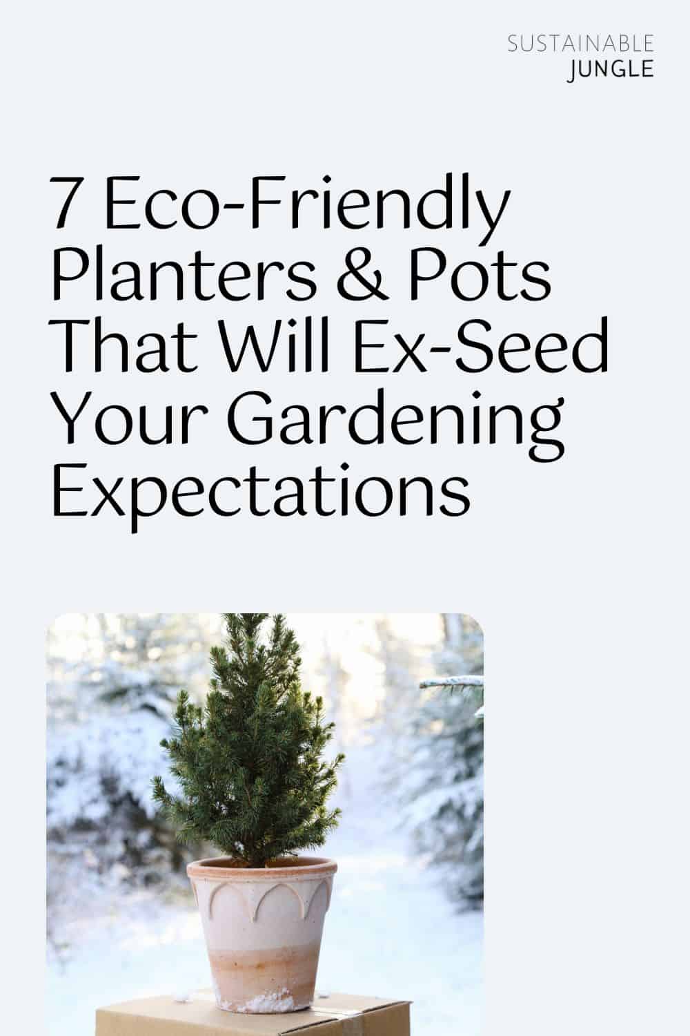 7 Eco-Friendly Planters & Pots That Will Ex-Seed Your Gardening Expectations Image by Bergs Potter #ecofriendlyplanters #ecofriendlyplantpots #ecofriendlypots #ecoplanters #ecoplantpots #sustainableplanters #sustainablejungle