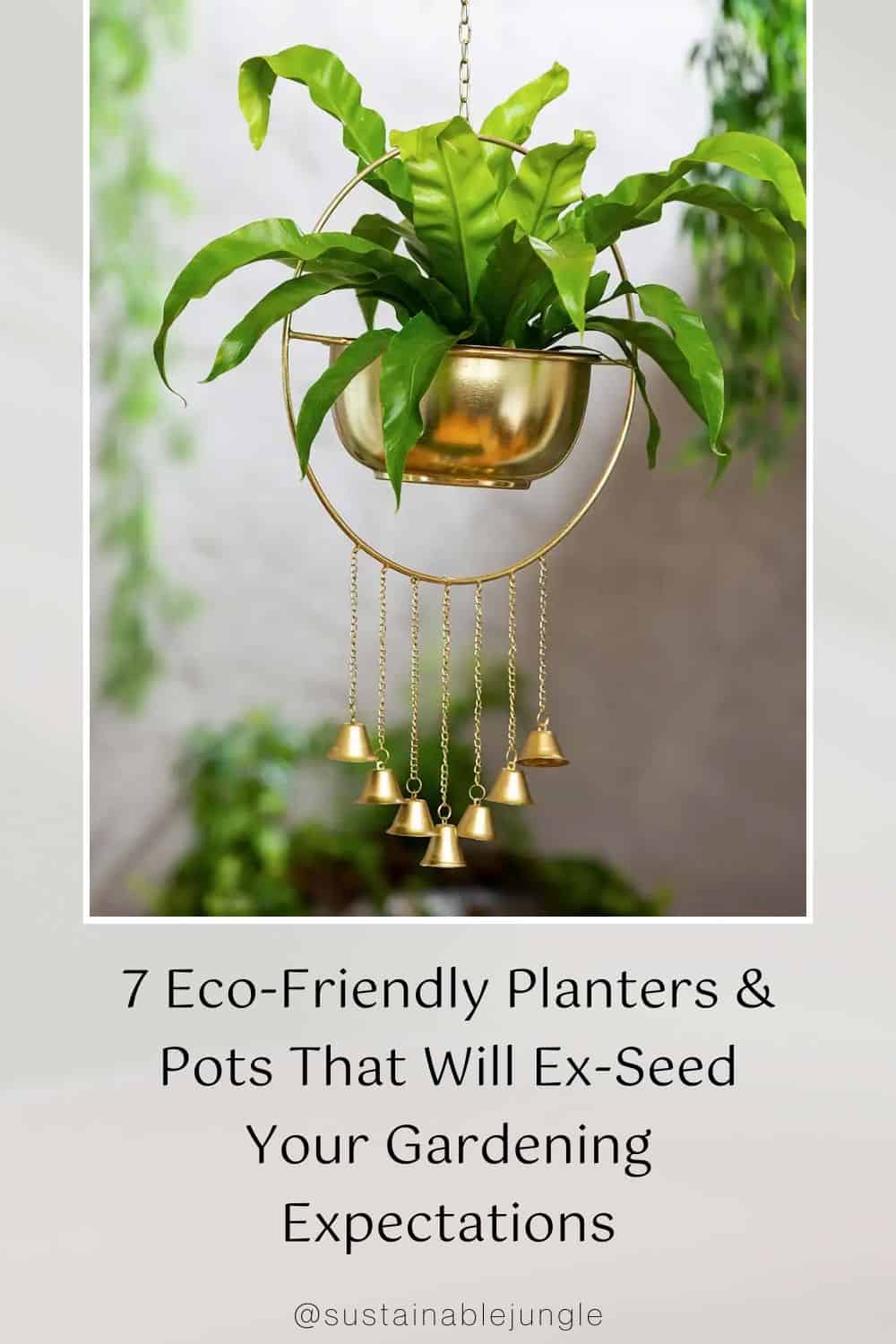 7 Eco-Friendly Planters & Pots That Will Ex-Seed Your Gardening Expectations Image by Vivaterra #ecofriendlyplanters #ecofriendlyplantpots #ecofriendlypots #ecoplanters #ecoplantpots #sustainableplanters #sustainablejungle