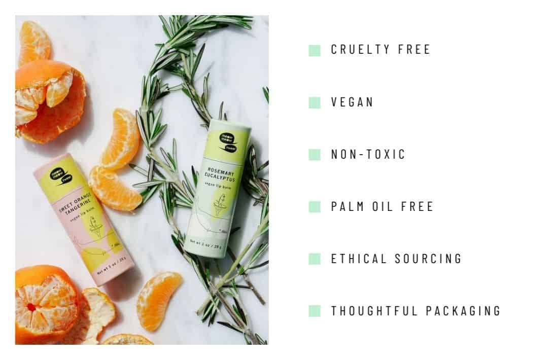 11 Sustainable Beauty Brands Creating Clean Green Cosmetics Image by Meow Meow Tweet #sustainablebeauty #bestsustainablebeautybrands #sustainablebeautyproducts #ethicalbeautybrands #ethicalskincarebrands #ethicalbeautyproducts #sustainablejungle