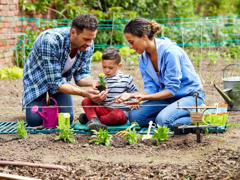 How To Use Ecological Gardening To Protect Your Plantings & The Planet Image by stocknroll #ecologicalplanting #ecologicalgarden #ecologicalgardening #ecogardening #ecologicalgardendesign #sustainablejungle