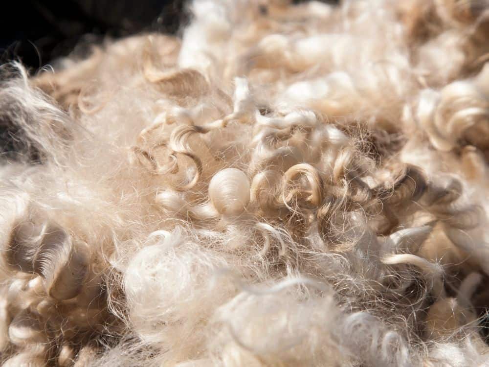 Sustainable & Ethical Wool: A More Conscious Bet Or Still Baa-Baa-Bad? Image by yellowsarah #ethicalwool #ethicalmerinowool #iswoolethical #ethicallysourcedwool #crueltyfreewool #ethicalwoolclothing #sustainablejungle