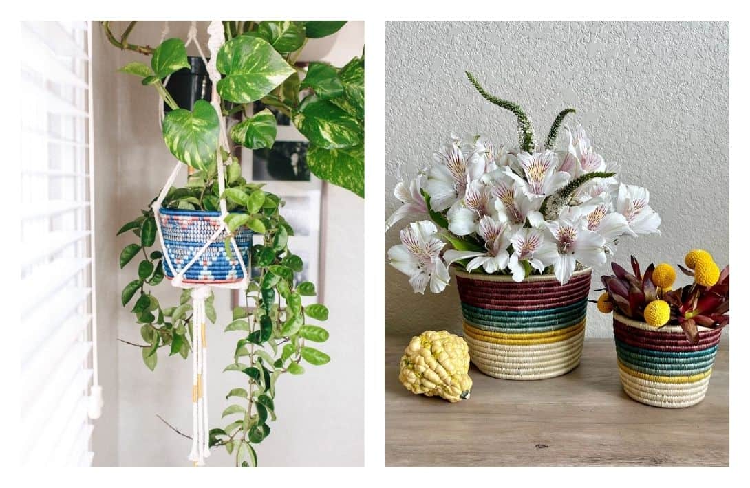 7 Eco-Friendly Planters & Pots That Will Ex-Seed Your Gardening Expectations Images by KAZI #ecofriendlyplanters #ecofriendlyplantpots #ecofriendlypots #ecoplanters #ecoplantpots #sustainableplanters #sustainablejungle