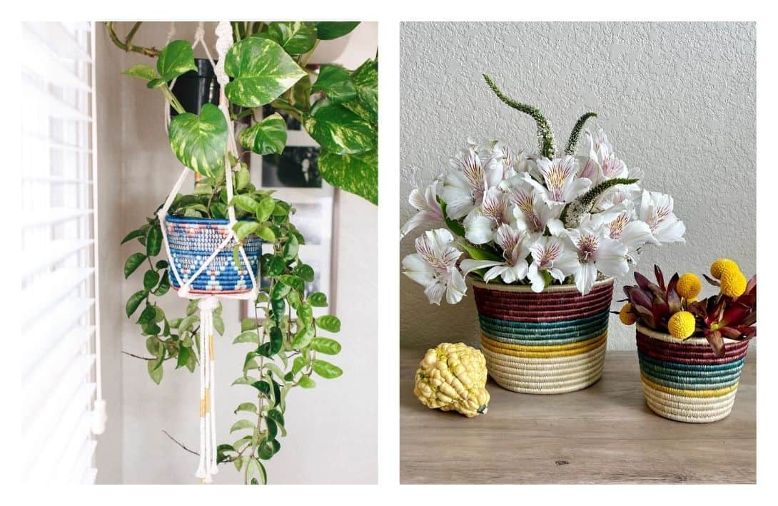 7 Sustainable Planters & Eco-Friendly Plant Pots For Your Home - The Good  Trade