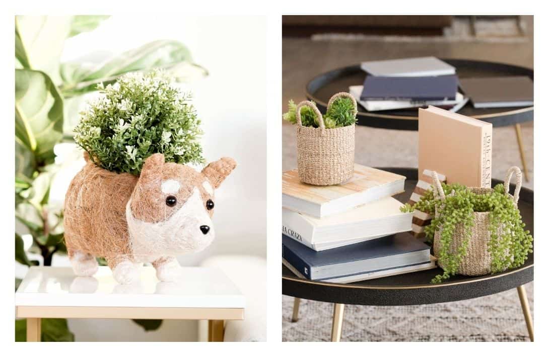 7 Eco-Friendly Planters & Pots That Will Ex-Seed Your Gardening Expectations Images by LIKHÂ #ecofriendlyplanters #ecofriendlyplantpots #ecofriendlypots #ecoplanters #ecoplantpots #sustainableplanters #sustainablejungle