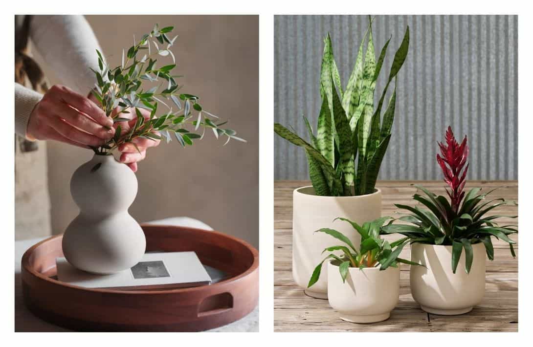 7 Eco-Friendly Planters & Pots That Will Ex-Seed Your Gardening Expectations Images by The Citizenry #ecofriendlyplanters #ecofriendlyplantpots #ecofriendlypots #ecoplanters #ecoplantpots #sustainableplanters #sustainablejungle