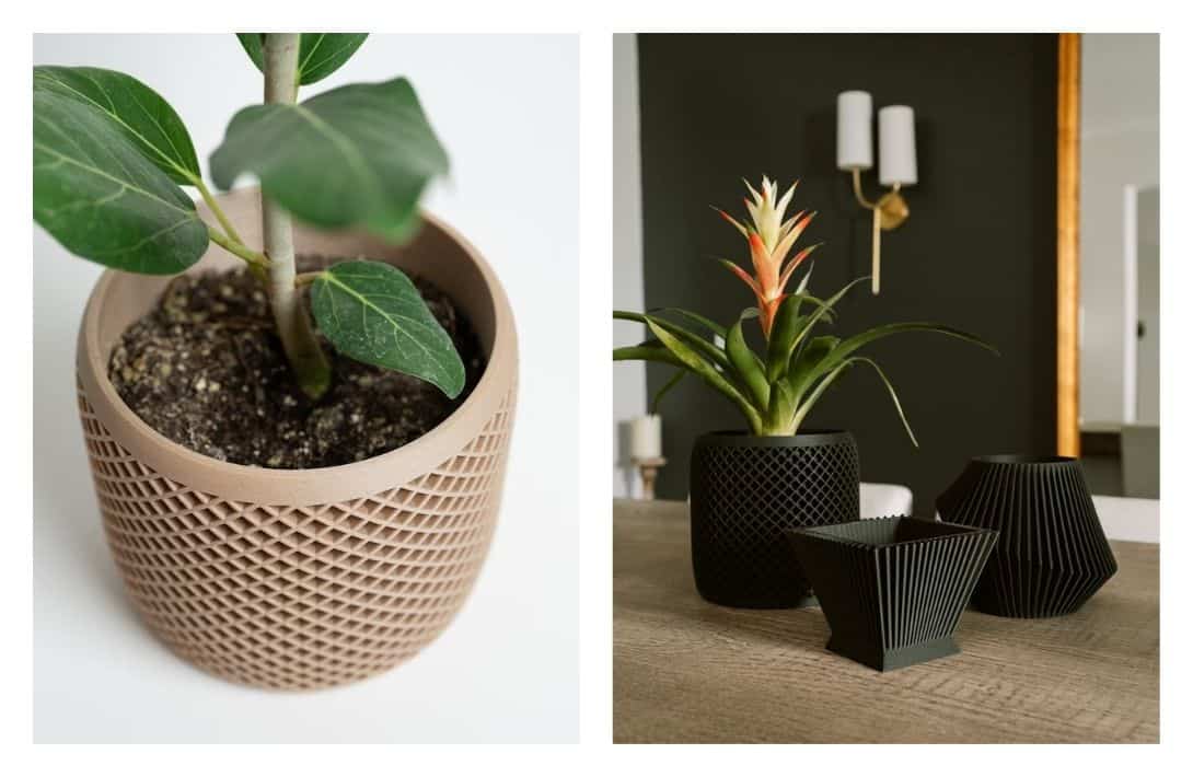 7 Eco-Friendly Planters & Pots That Will Ex-Seed Your Gardening Expectations Images by Woodland Pulse #ecofriendlyplanters #ecofriendlyplantpots #ecofriendlypots #ecoplanters #ecoplantpots #sustainableplanters #sustainablejungle