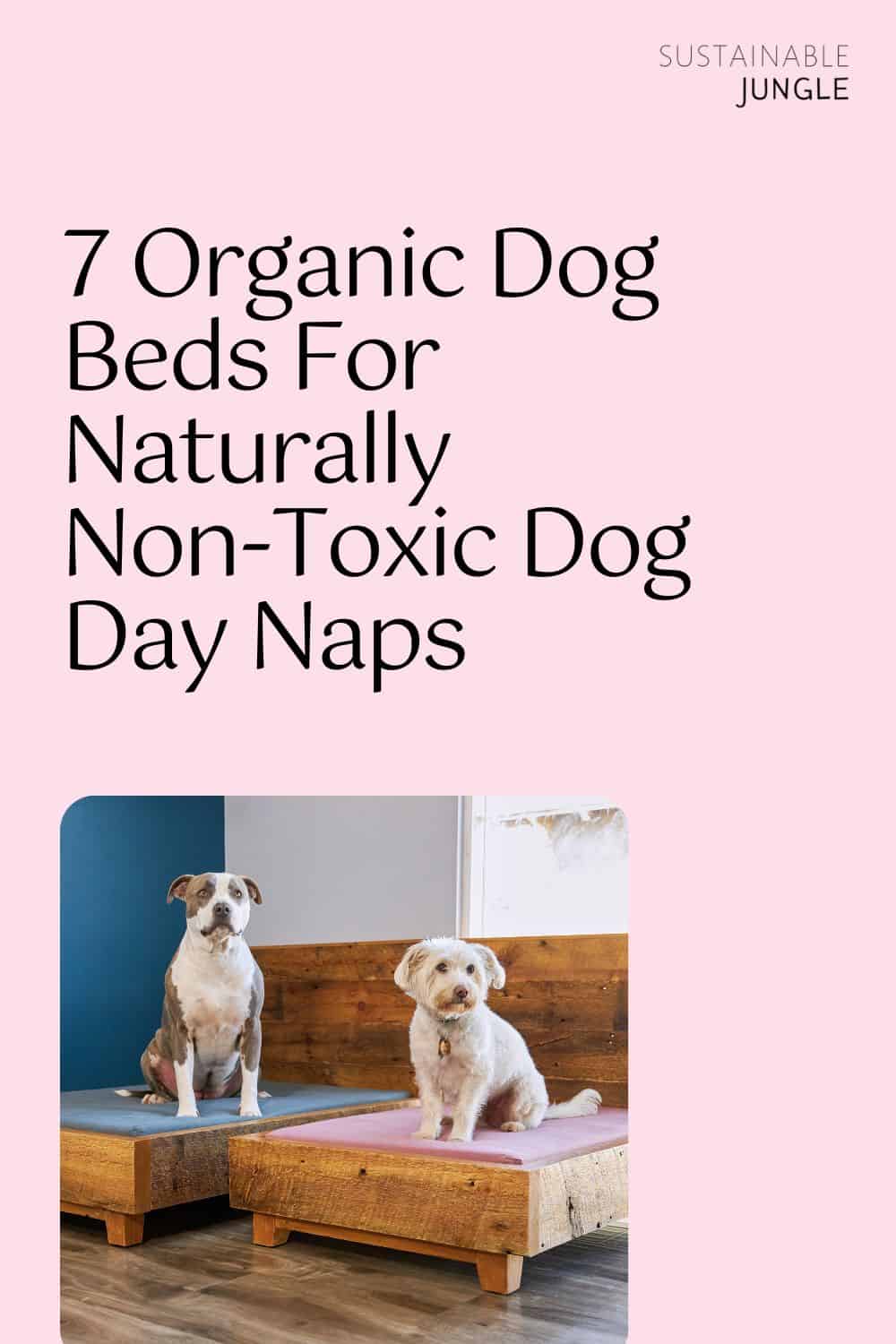 7 Organic Dog Beds For Naturally Non-Toxic Dog Day Naps Image by Avocado #organicdogbeds #bestorganicdogbeds #organiccottondogbeds #nontoxicdogbeds #nontoxicorthopediadogbeds #naturalorganicdogbeds #sustainablejungle