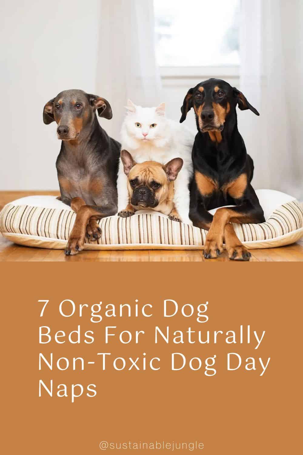 7 Organic Dog Beds For Naturally Non-Toxic Dog Day Naps Image by Essentia #organicdogbeds #bestorganicdogbeds #organiccottondogbeds #nontoxicdogbeds #nontoxicorthopediadogbeds #naturalorganicdogbeds #sustainablejungle