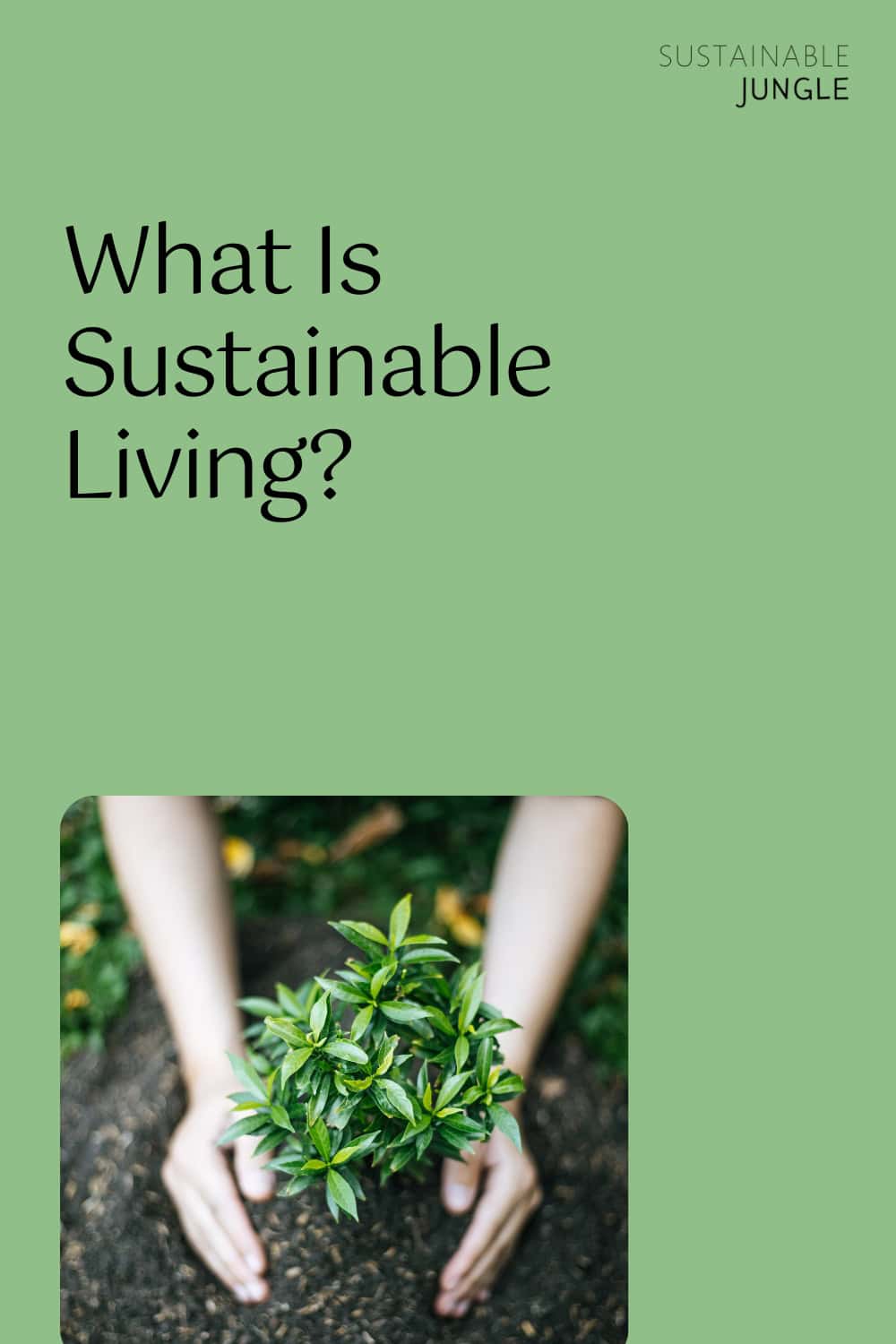 What Is Sustainable Living? Image by Salang889 #whatissustainableliving #sustainablelivingmeaning #sustainablelivingdefinition #sustainablelivingpractices #definitionofsustainableliving #sustainablejungle