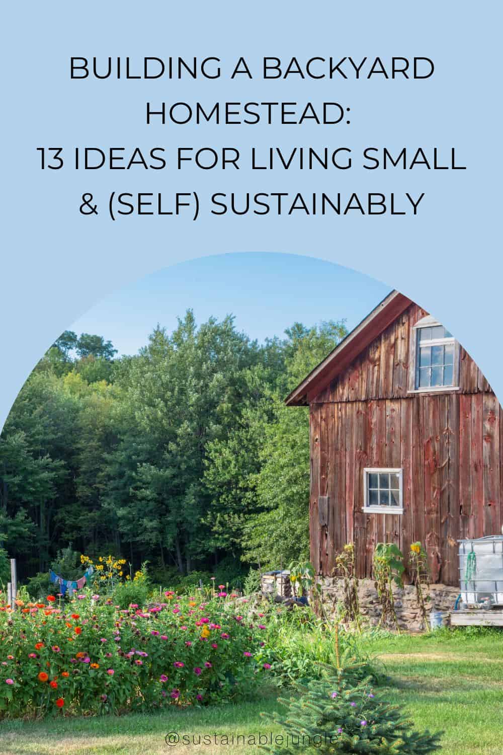 Building A Backyard Homestead: 13 Ideas For Living Small & (Self) Sustainably Image by andykazie #backyardhomestead #backyardhomesteading #backyardhomesteadudeas #smallhomesteadgardenideas #smallhomesteading #sustainablejungle