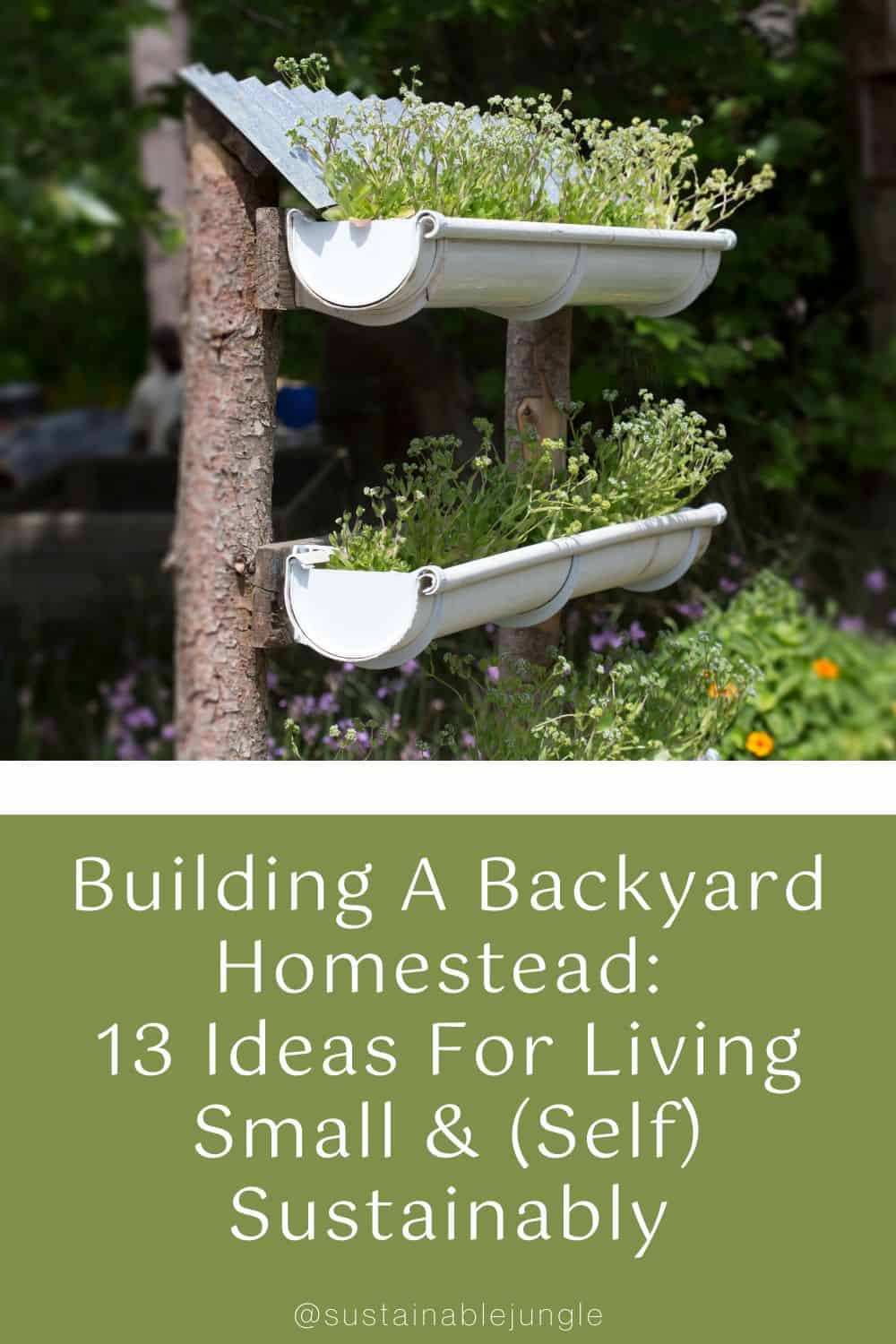 Building A Backyard Homestead: 13 Ideas For Living Small & (Self) Sustainably Image by cookedphotos #backyardhomestead #backyardhomesteading #backyardhomesteadudeas #smallhomesteadgardenideas #smallhomesteading #sustainablejungle