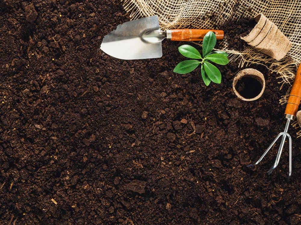 What Is Sustainable Gardening? Eco-Friendly To Grow A Greener Garden Image by Chet_W #sustainablegardening #sustainablegarden #whatissustainablegardening #sustainablevegetablegardening #ecogardening #ecofriendlygardening #sustainablejungle