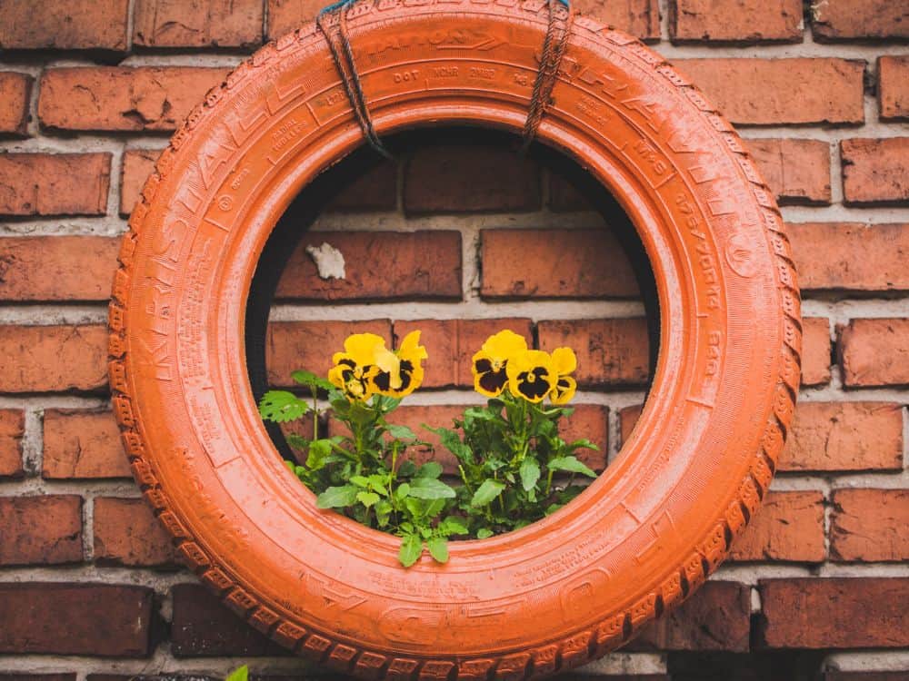 From Waste to Wow: 19 Creative Garden Recycling Ideas to Revitalize Your Garden Image by Jakub Jacobsky #gardenrecyclingideas #upcyledgardenideas #creativegardenrecyclingideas #gardenupcycleideas #diyupcycledgardenideas #recyclinginthegardenideas #sustainablejungle