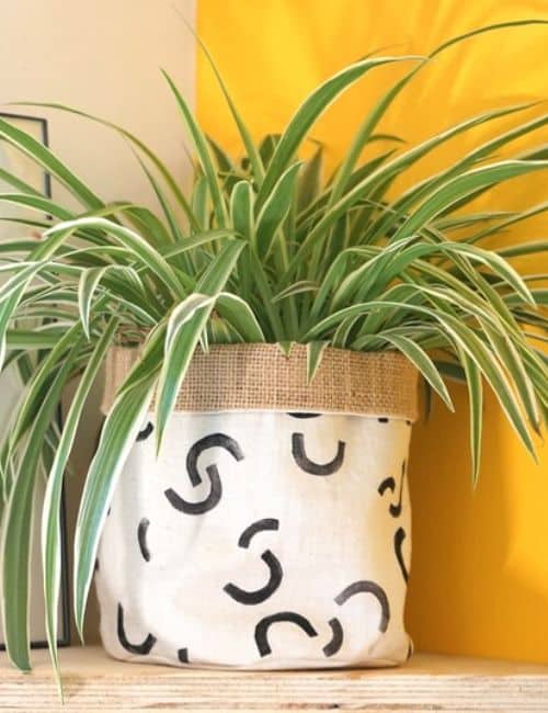 7 Recycled Plant Pots For Circularity-Minded Planters Image by Plant Apparel UK #recycledplantpots #DIYrecycledplantpots #recycledplasticpots #recycledplasticoutdoorplanters #recycledplanters#recycledgardenpots #sustainablejungle