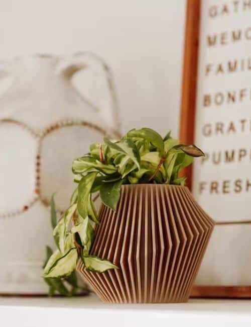 7 Recycled Plant Pots For Circularity-Minded Planters Image by Woodland Pulse #recycledplantpots #DIYrecycledplantpots #recycledplasticpots #recycledplasticoutdoorplanters #recycledplanters#recycledgardenpots #sustainablejungle